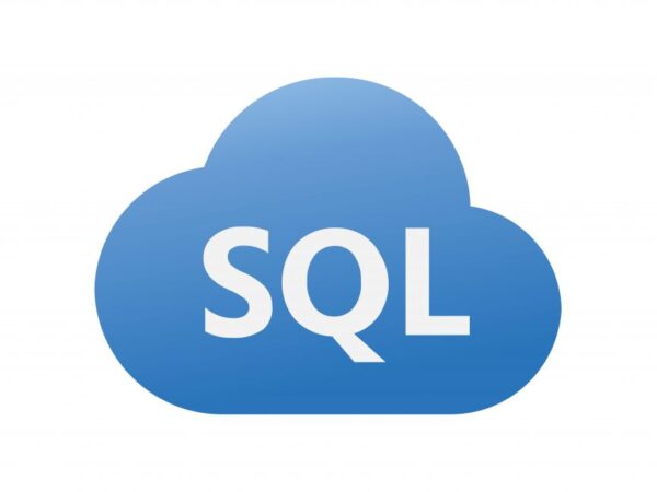 mysql logo 2